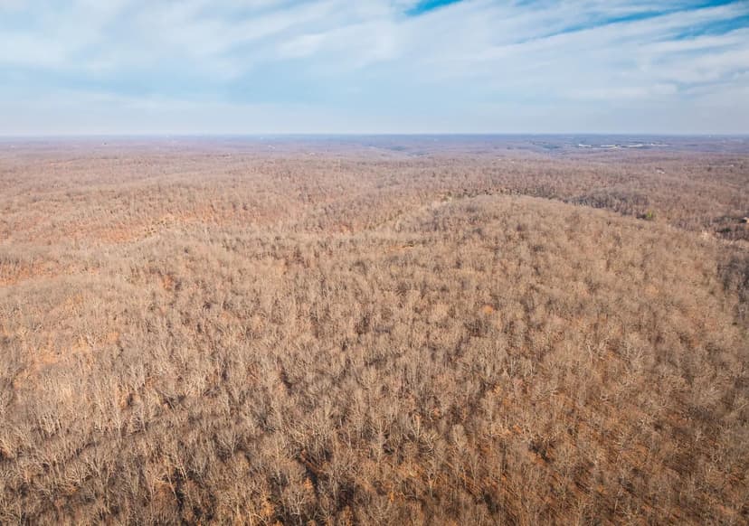 216 Acres of Prime Hunting & Recreational Land – Laclede County