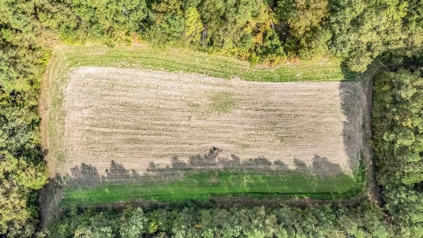 176 Acre Property with Income Producing 5 Bedroom Lodge