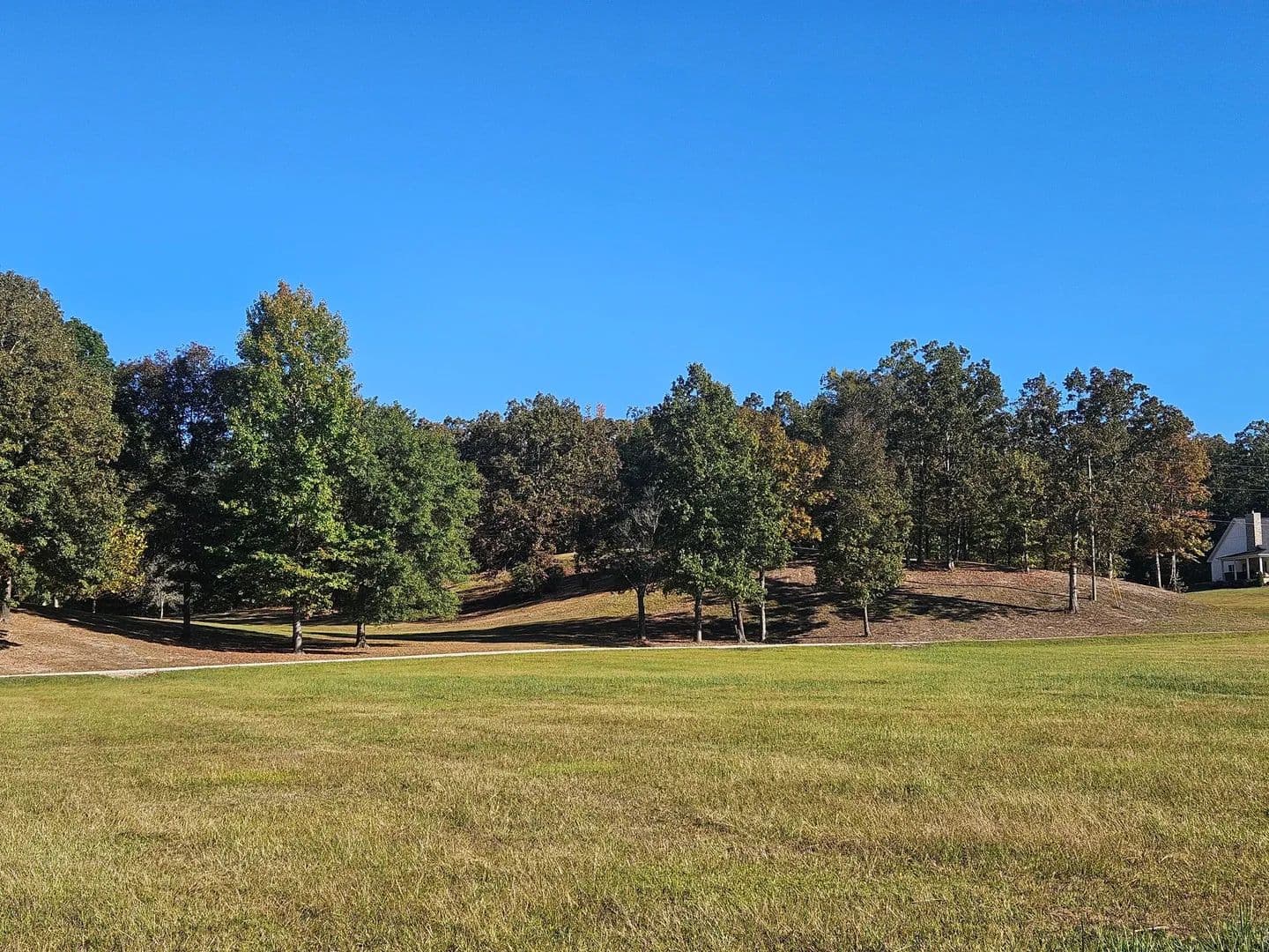 Dry Creek Mini Farm – 10 Acres with Pond in Piedmont - Piedmont, Alabama, 36272