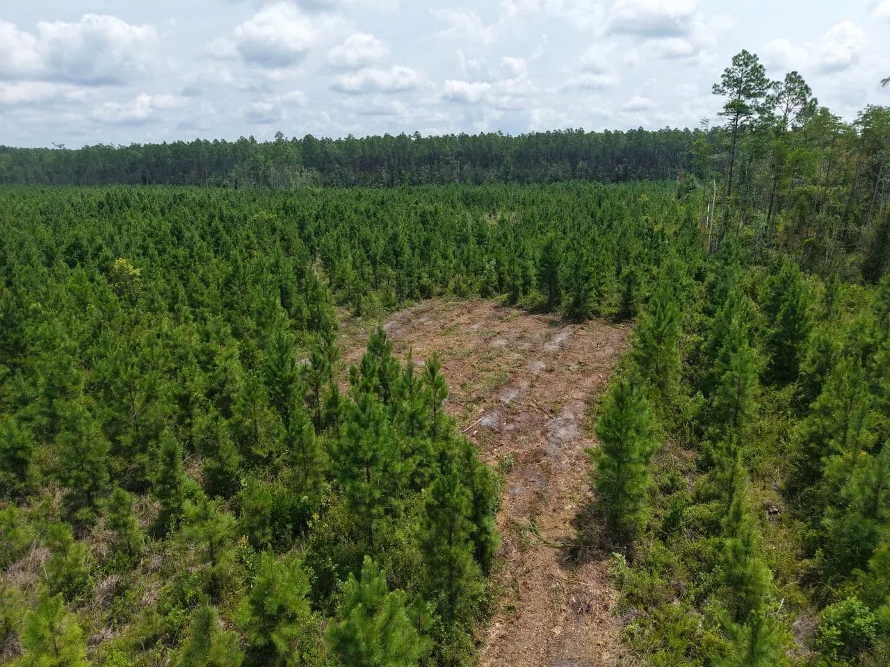 25.10 +/- Ac Land for Sale in Camden County, GA - White Oak, Georgia, 31568