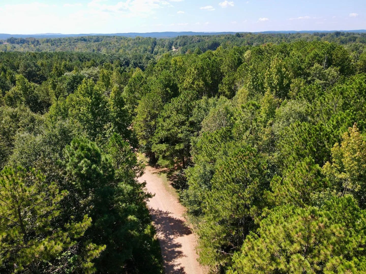 7.5 acres- Wooded & Unrestricted - Ashland, Alabama, 36251