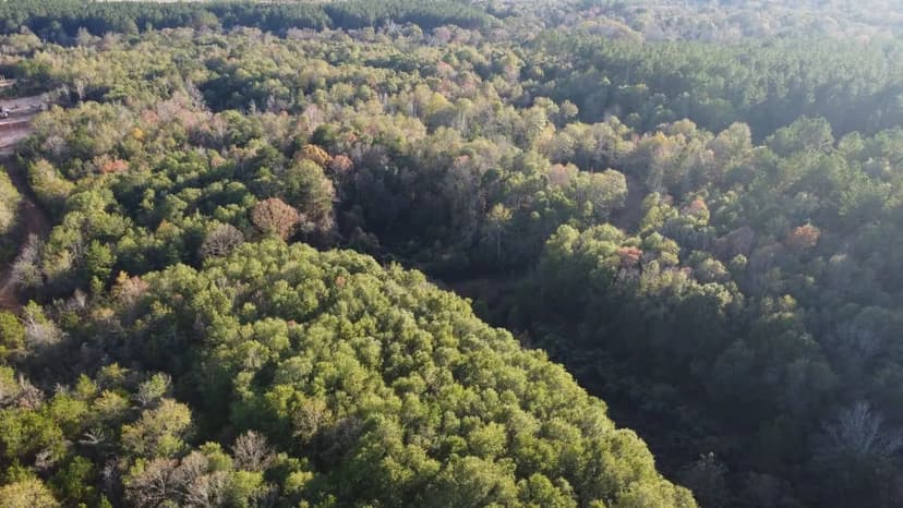 Homesite & Hunting-Best of Both