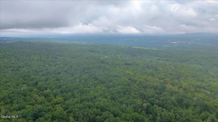 Land -Single Family Acreage in Duanesburg