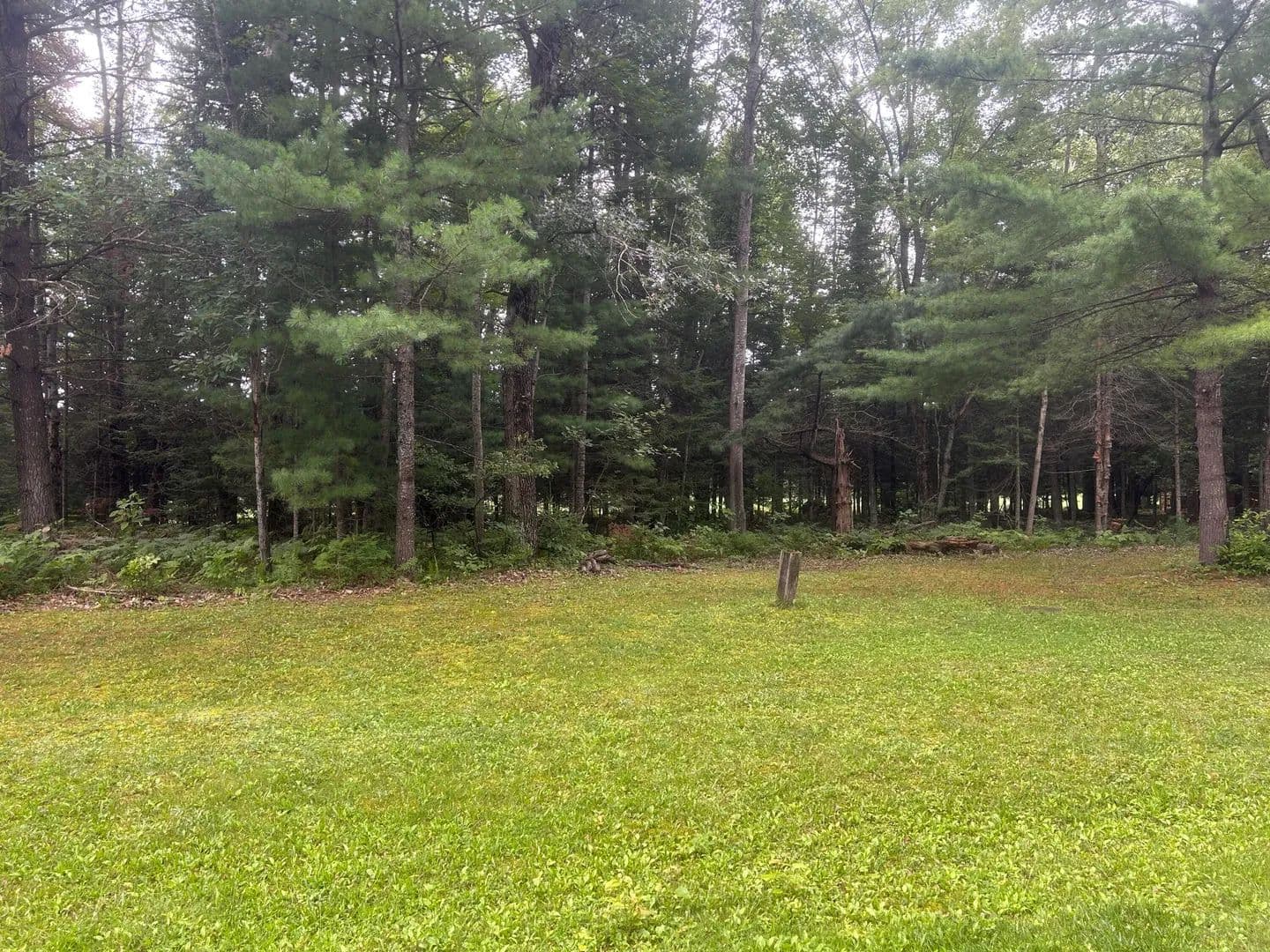Vacant Land in Hillman - Hillman, Michigan, 49746