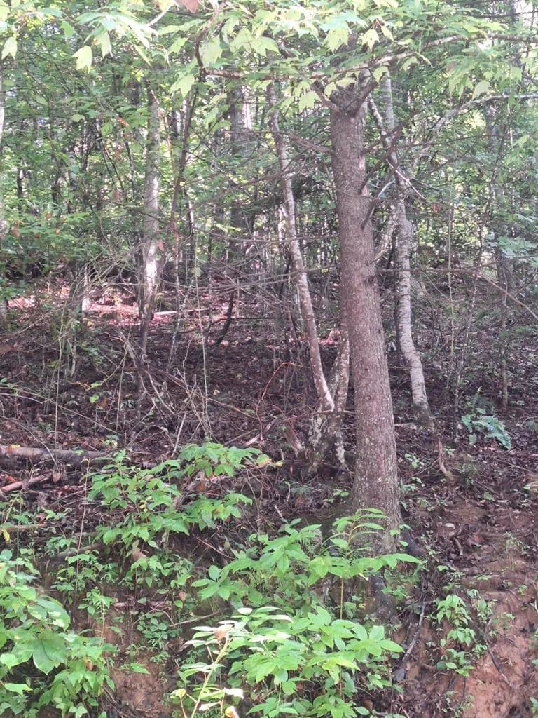 Lots & Land-Other in Suches - Suches, Georgia, 30572