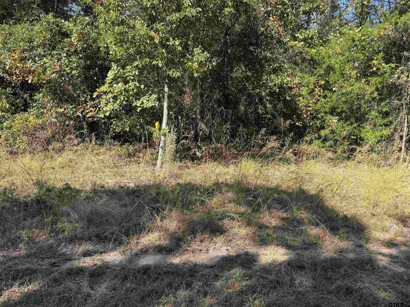 Lots & Land-Other in Scroggins - Scroggins, Texas, 75480