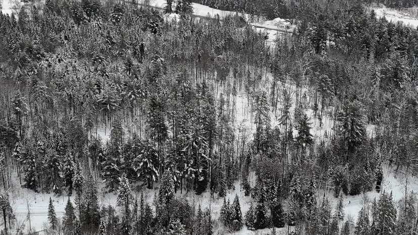 Lots & Land-Other in Sutton