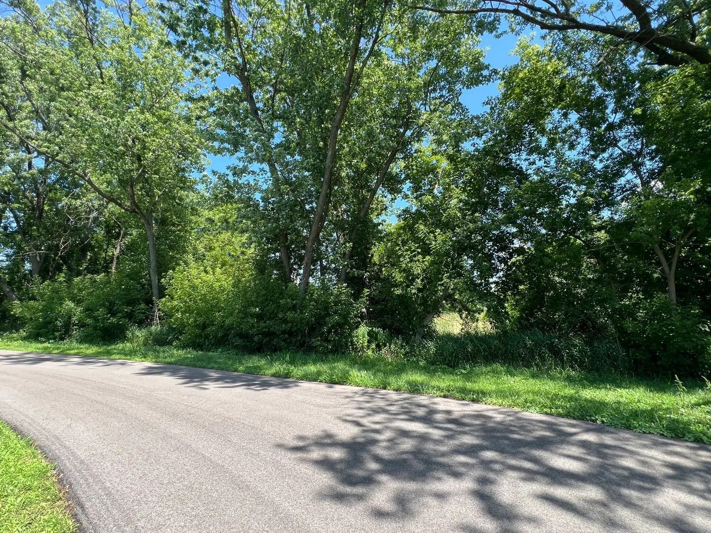Vacant Land in Ingleside - Ingleside, Illinois, 60041