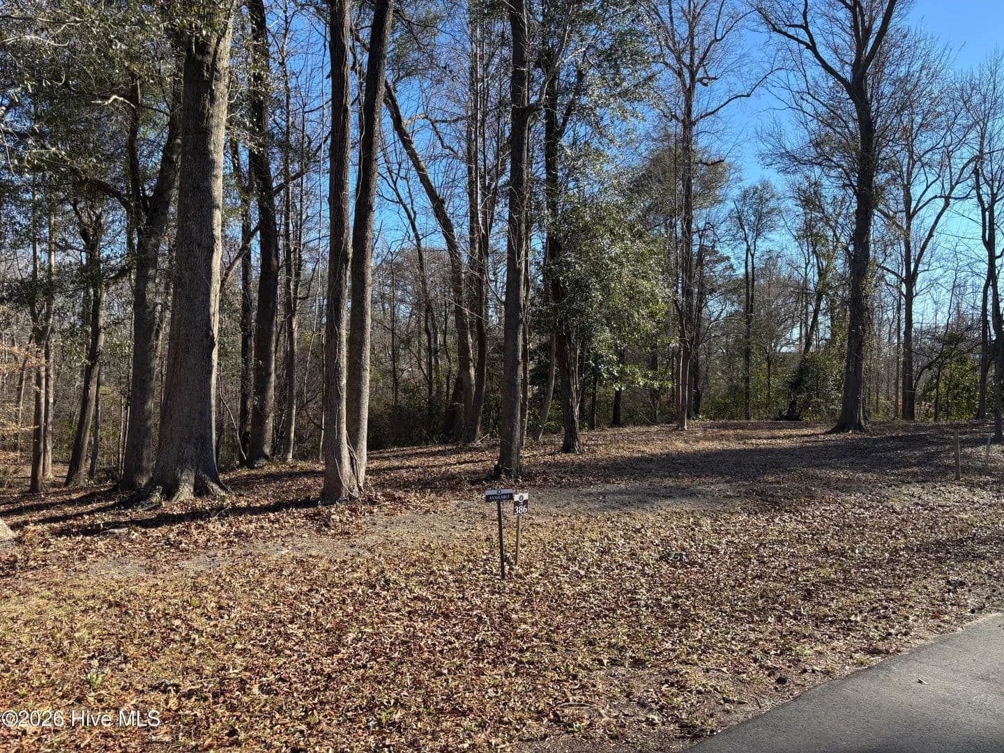 Property from 124 River Bluffs Drive - KW - Castle Hayne, North Carolina, 28429