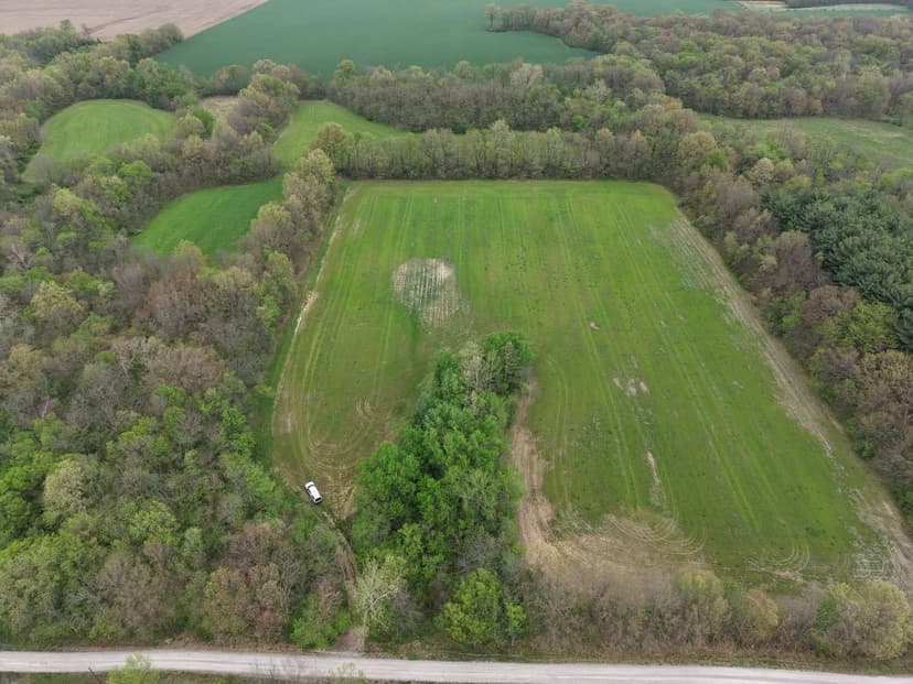 30± Acres w/Income Potential, Great Hunting & Build Sites – Bond County