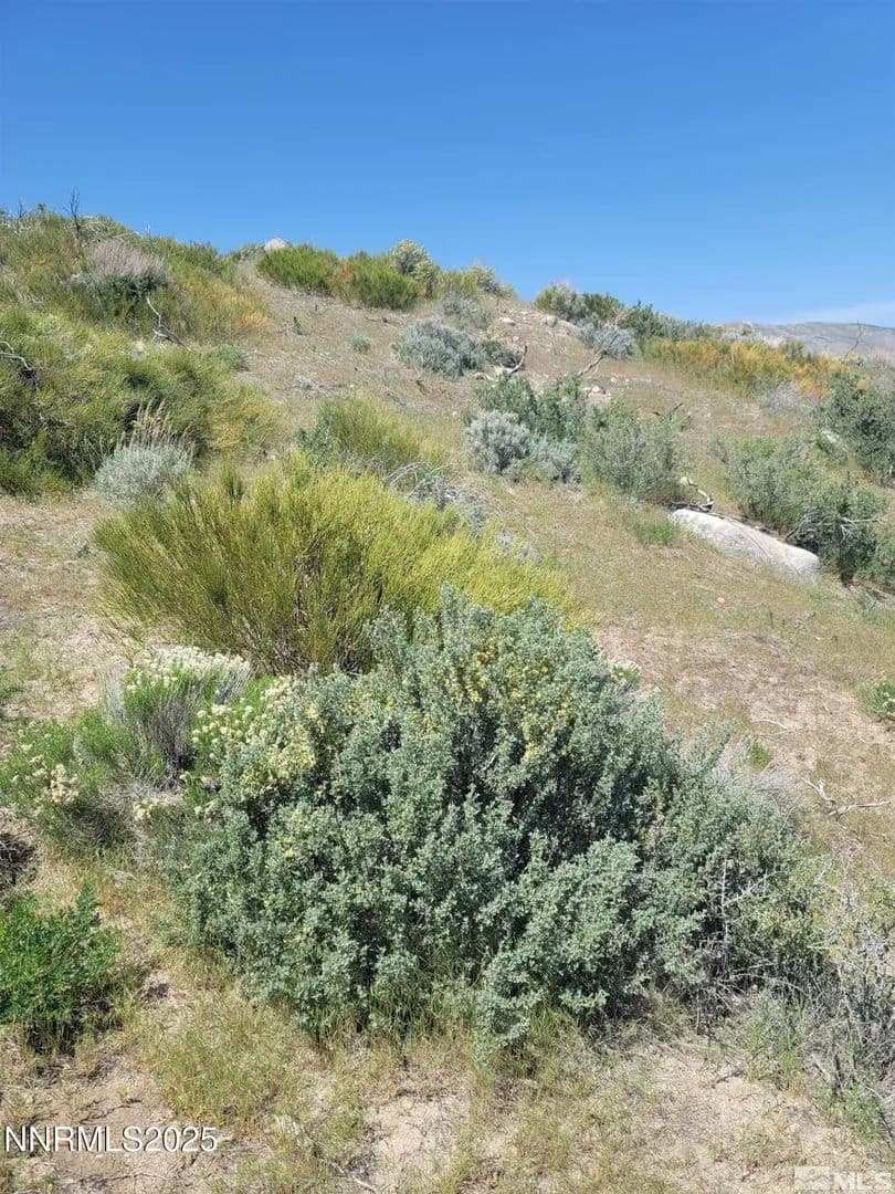 Vacant Land in Reno - Reno, Nevada, 89508