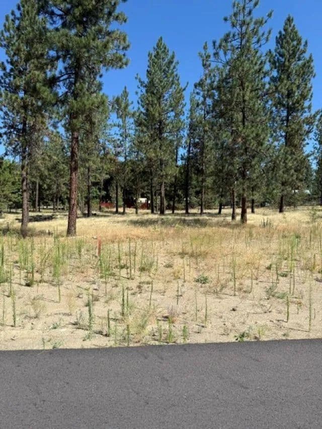 Vacant Land in Nine Mile Falls - Nine Mile Falls, Washington, 99026