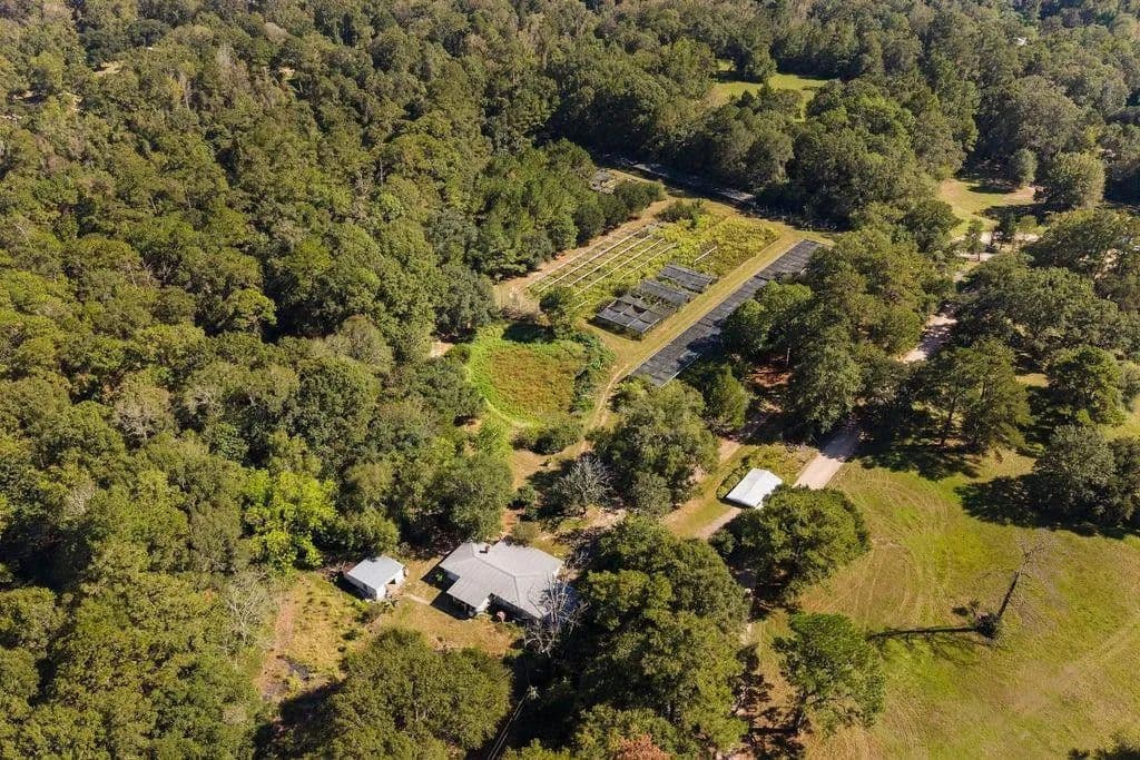 8.88 Acres of Land for Sale in Folsom, LA - Folsom, Louisiana, 70437