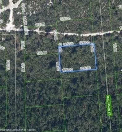 Lots & Land-Other in Lake Placid - land for sale
