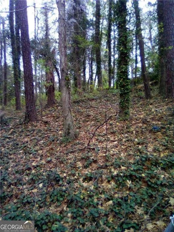 Property from 0 Landrum Drive SW - KW