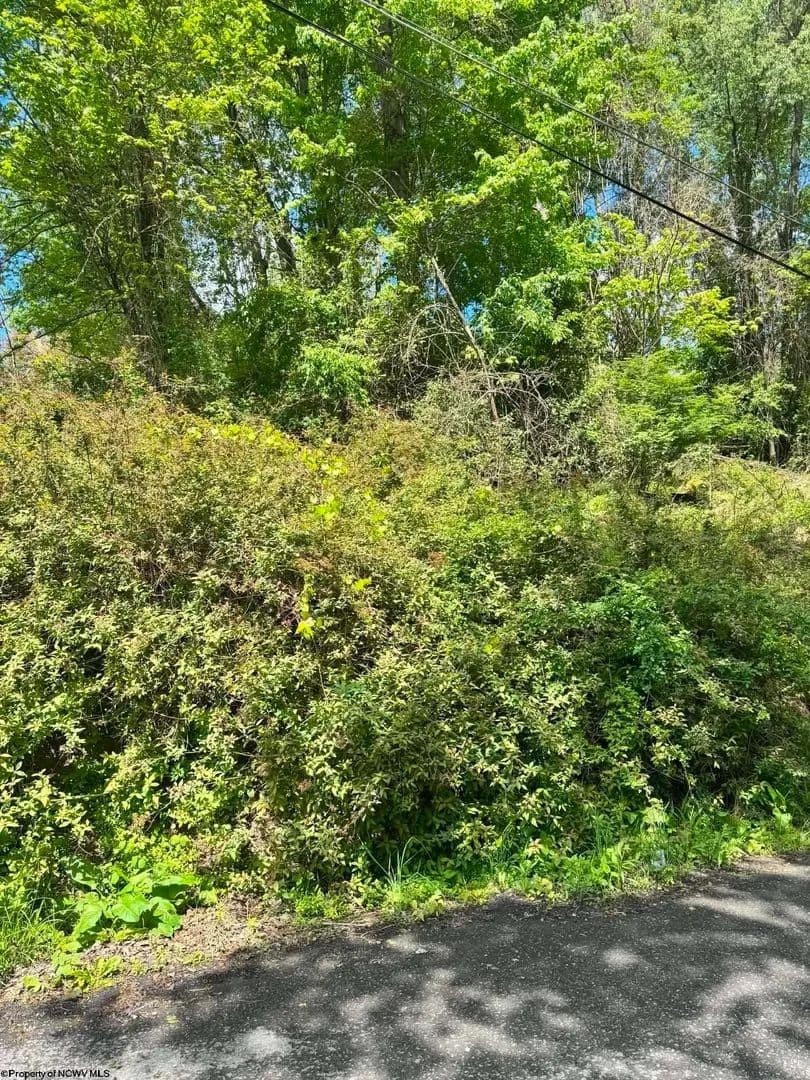0.1 Acres of Land for Sale in Kingwood, West Virginia - land for sale