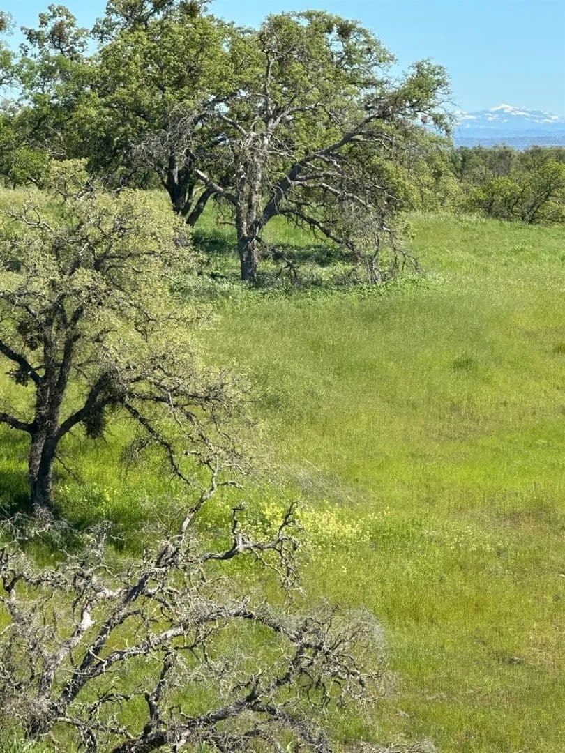 Lots & Land-Other in Wallace - Wallace, California, 95254