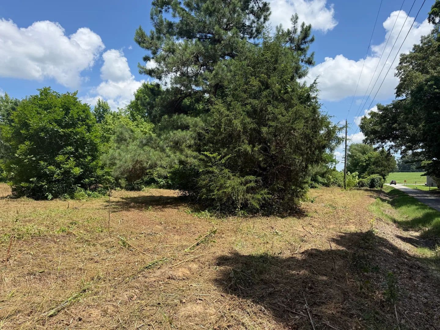 Land -Single Family Acreage in Dyer - Dyer, Tennessee, 38230