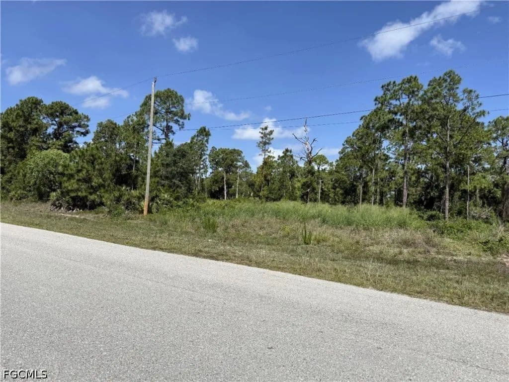 Vacant Land in Lehigh Acres - Lehigh Acres, Florida, 33974