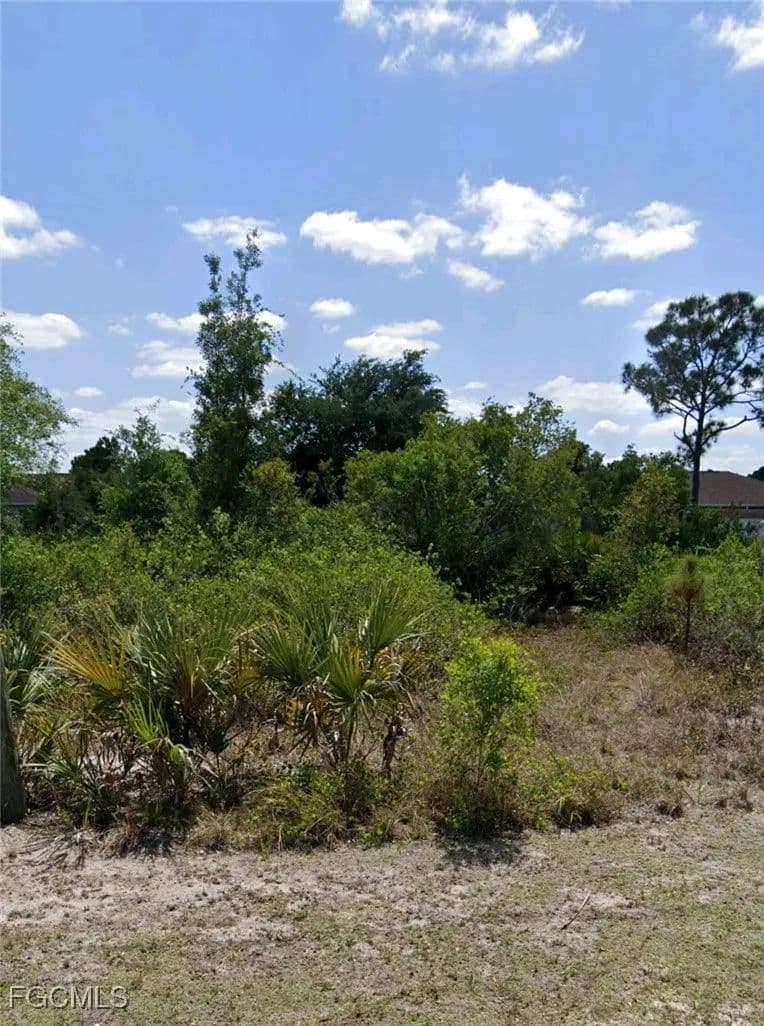 Vacant Land in Lehigh Acres - Lehigh Acres, Florida, 33971