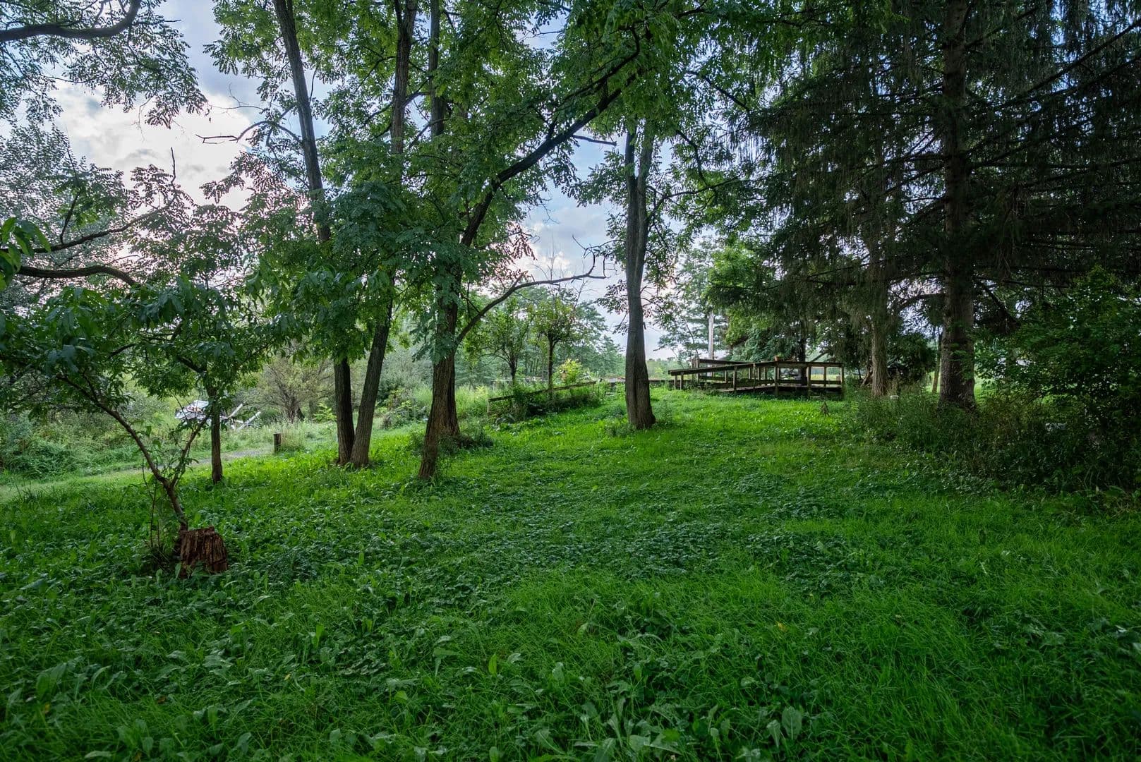 Vacant Land (10+ Acres) in Conneautville - Conneautville, Pennsylvania, 16406