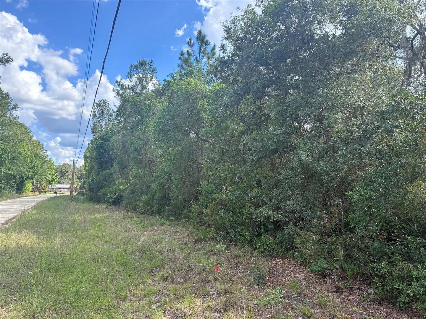 9.5 Acres of Land for Sale in Citra, Florida - Citra, Florida, 32113