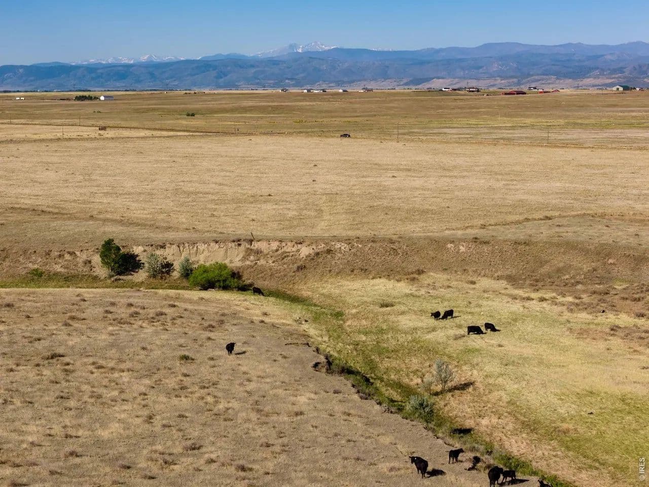Property from 4 CR 82 - KW - Wellington, Colorado, 80549