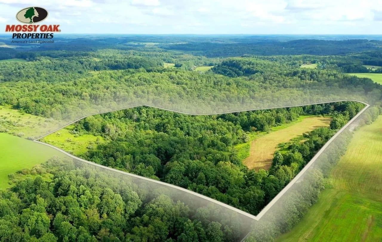 25.89± Acres at 0 Oneida Valley and Bruin Rd, Petrolia PA 16050 - Washington Twp Butler County - Petrolia, Pennsylvania, 16050