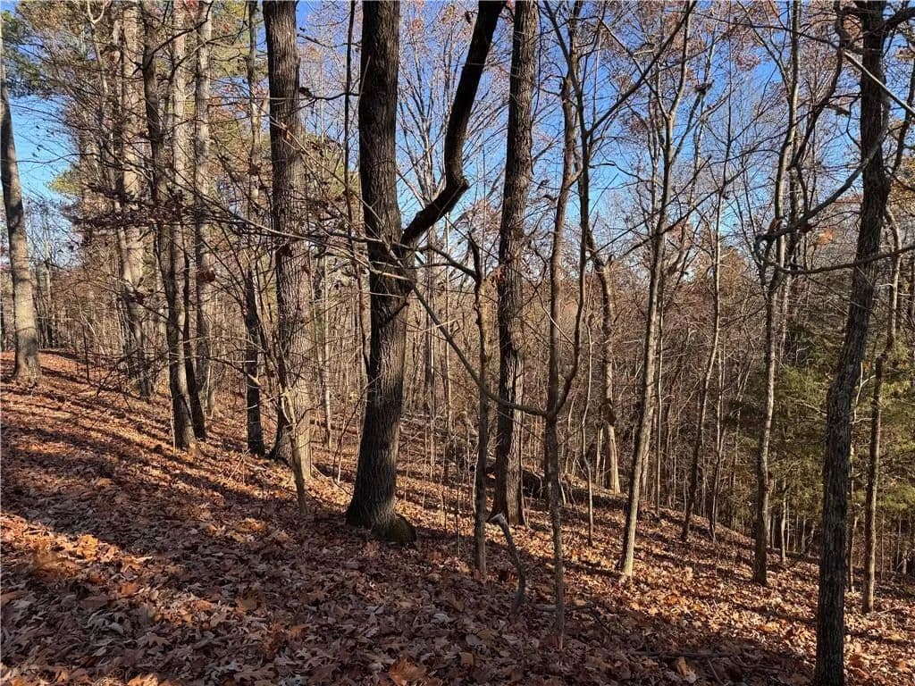 Lots & Land-Other in Ranger - Ranger, Georgia, 30734