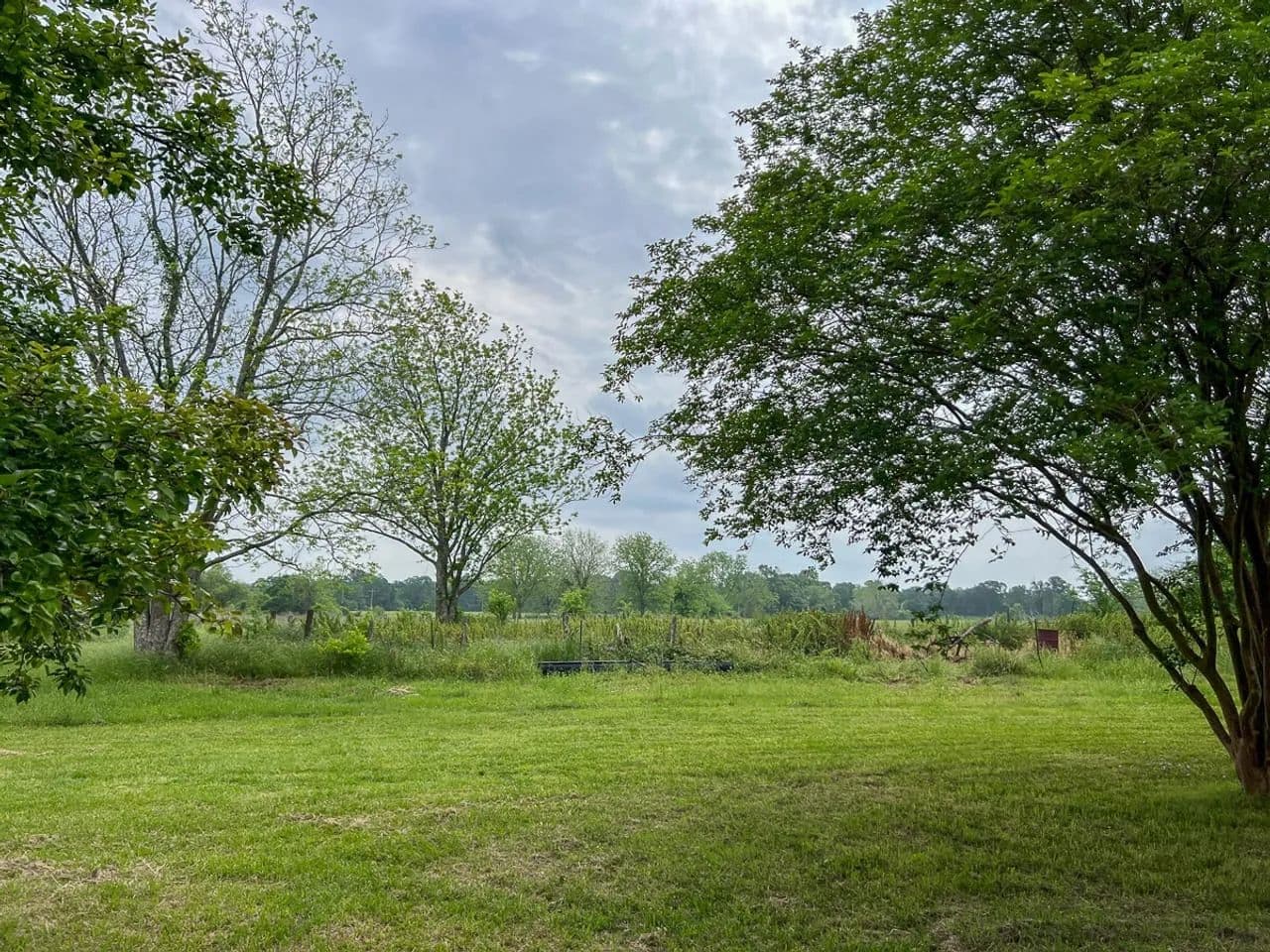 19 Acres | T-20 | County Road 3630 - Lovelady, Texas, 75851