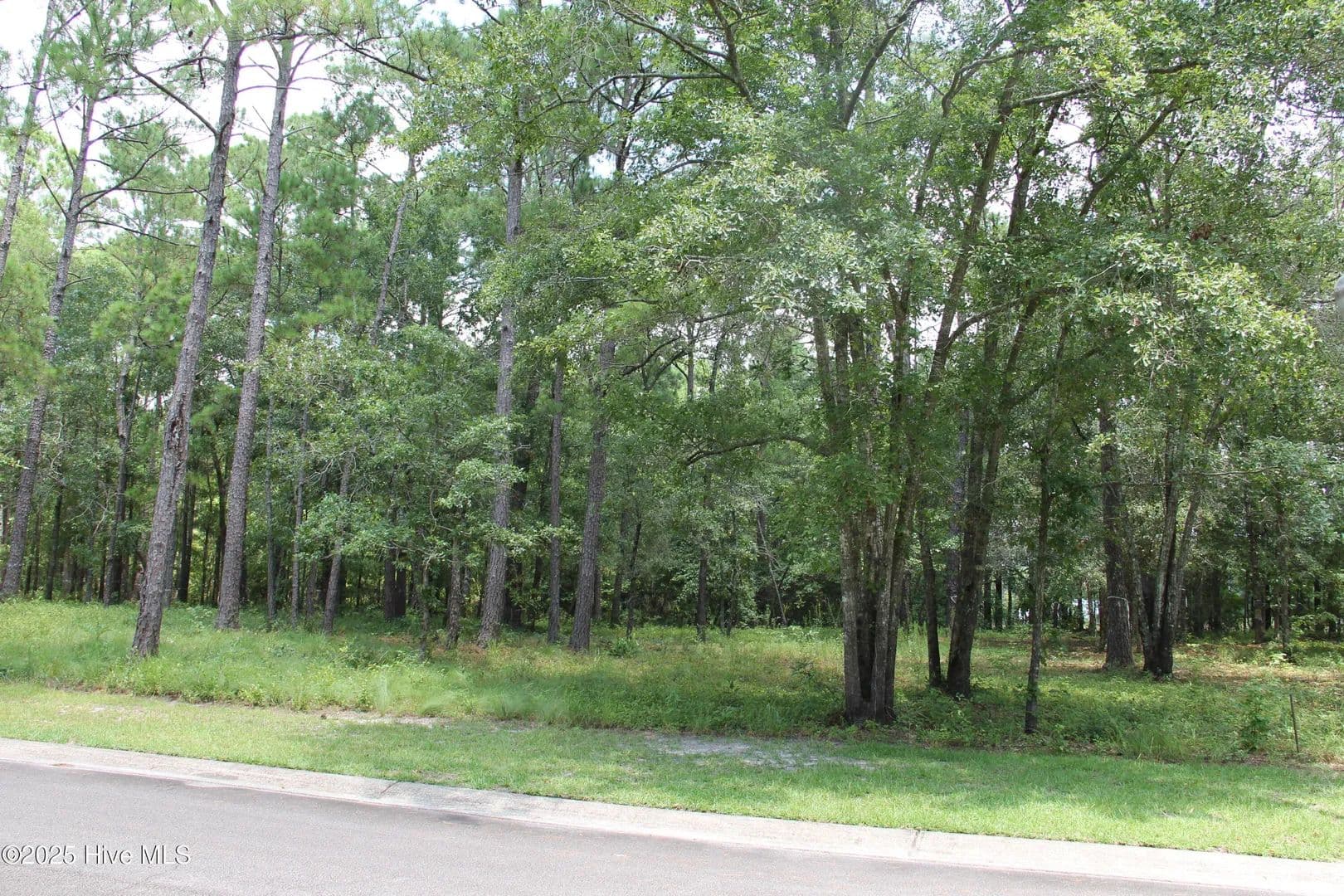 Vacant Land in Bolivia - Bolivia, North Carolina, 28422