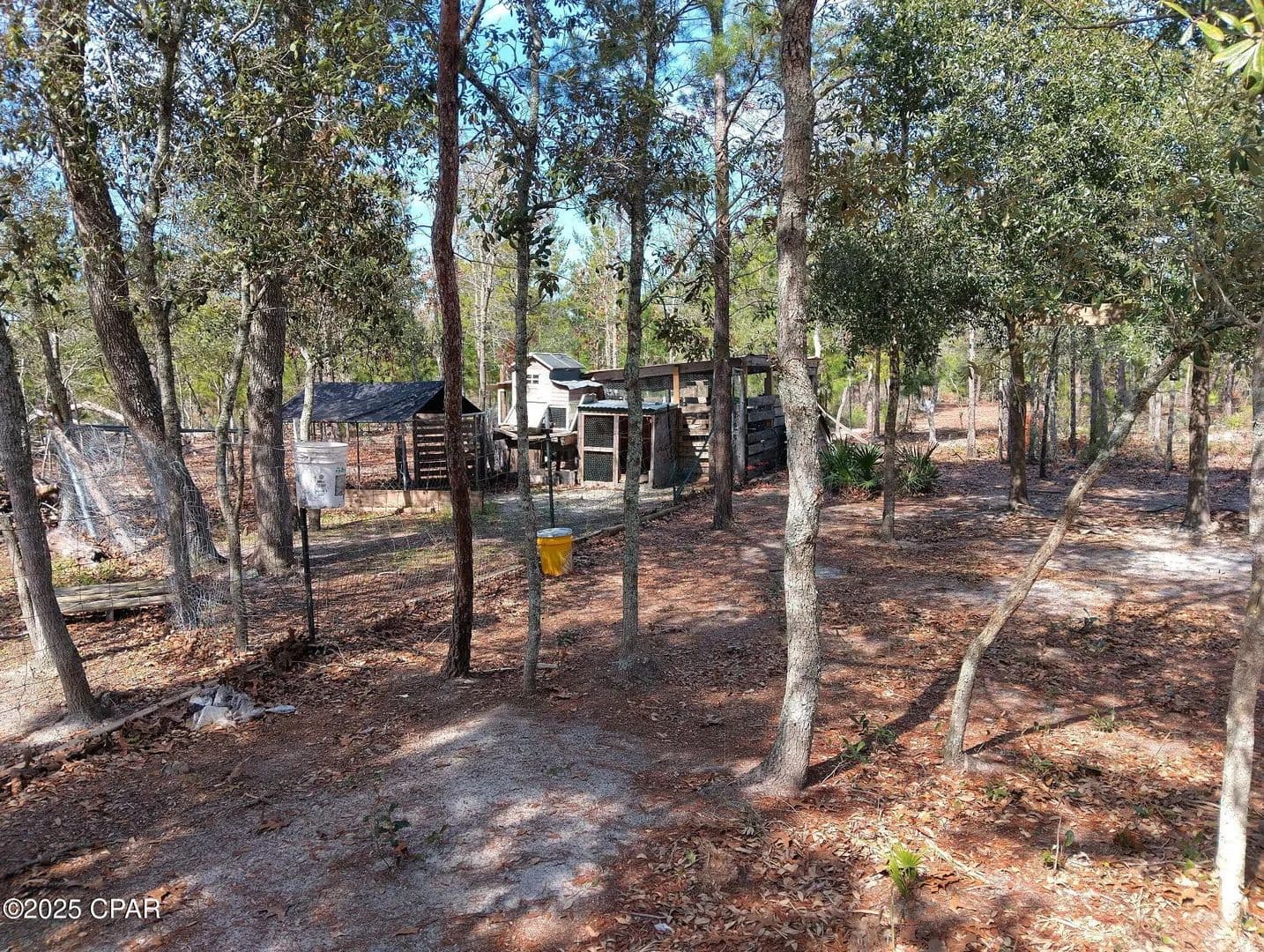 Vacant Land in Altha - Altha, Florida, 32421