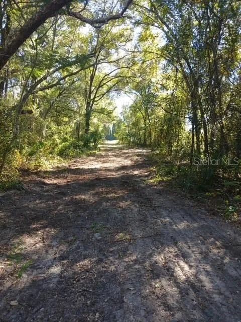 Vacant Land in Deland - Deland, Florida, 32724