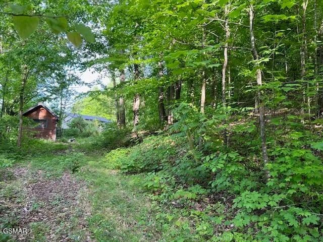 Property from 2R2 S Rogers Road S - KW - Seymour, Tennessee, 37865