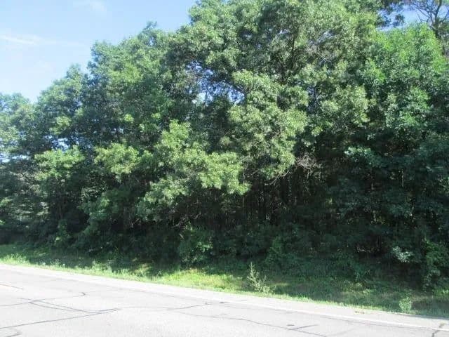 Lots & Land-Other in Arkdale - Arkdale, Wisconsin, 54613