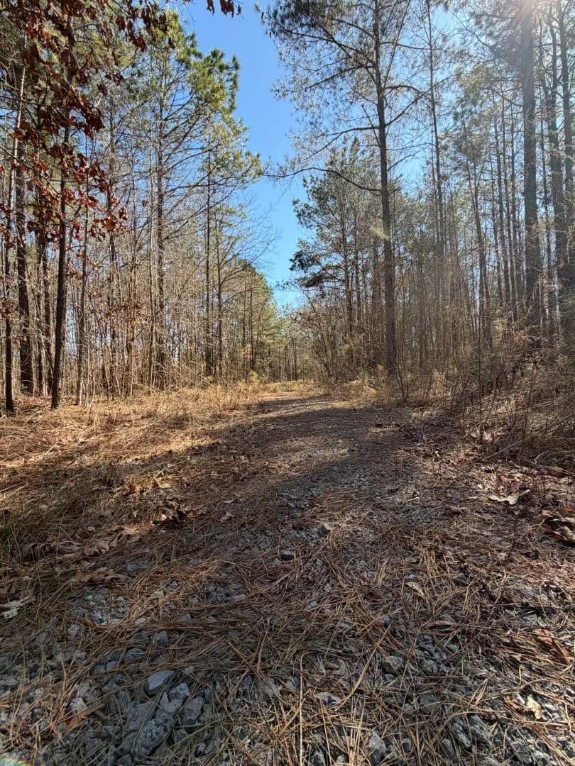 30.4 Acres in Choctaw County, MS