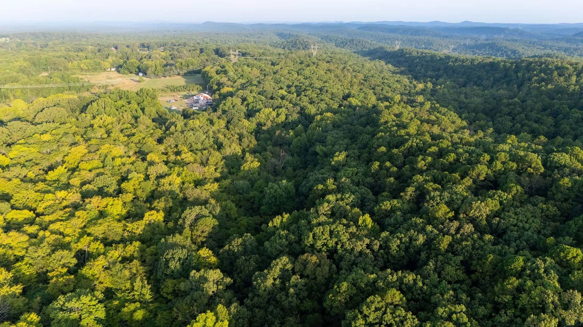 Ferndale Oak Grove - Ferndale, Arkansas, 72223