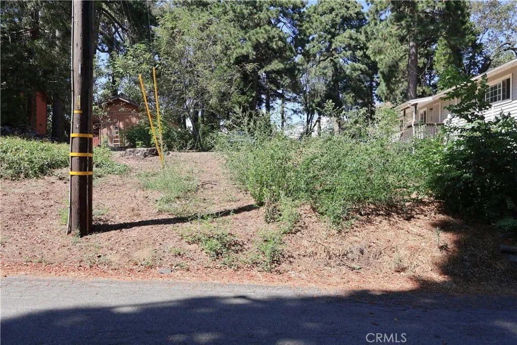 Vacant Land in Crestline - Crestline, California, 92325