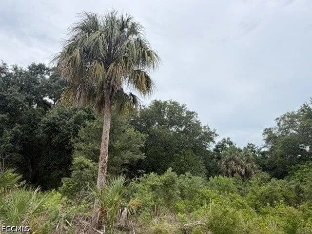 Lots & Land-Other in Lehigh Acres - Lehigh Acres, Florida, 33972