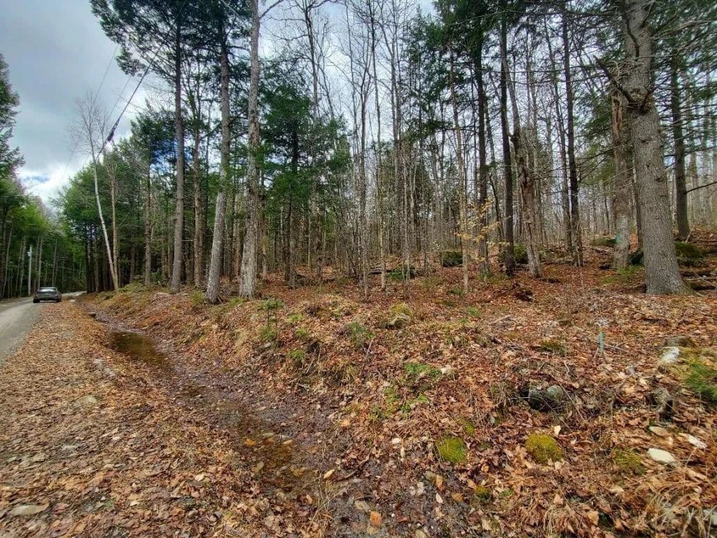 Land -Single Family Acreage in Danforth - land for sale
