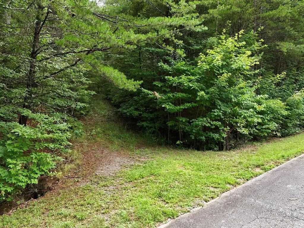 Lots & Land-Other in Ellijay - Ellijay, Georgia, 30540