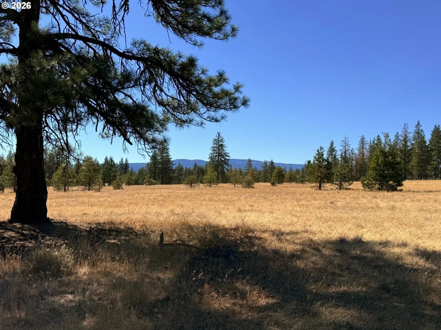 Lots & Land-Other in Goldendale - Goldendale, Washington, 98620