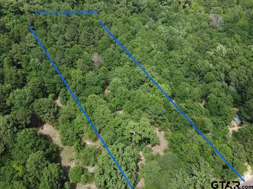 Vacant Land in Quitman - Quitman, Texas, 75783
