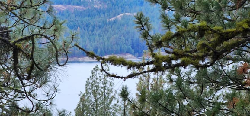 Property from 34XX Daisy Mine Rd - KW