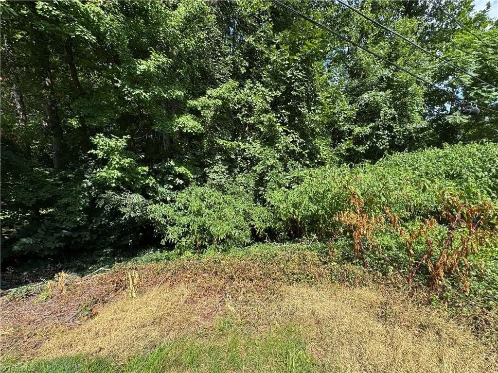 Vacant Land in Winston-Salem - Winston-Salem, North Carolina, 27101