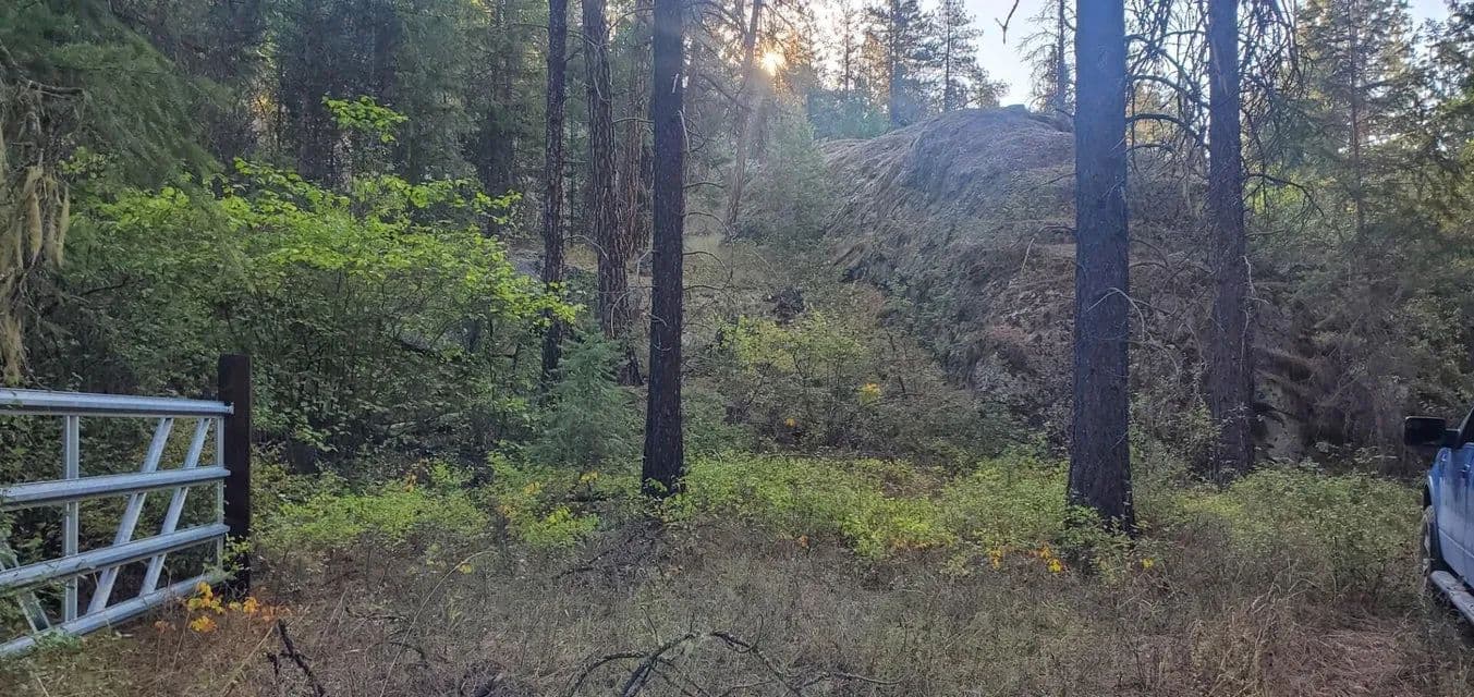 Vacant Land (10+ Acres) in Kettle Falls - Kettle Falls, Washington, 99141