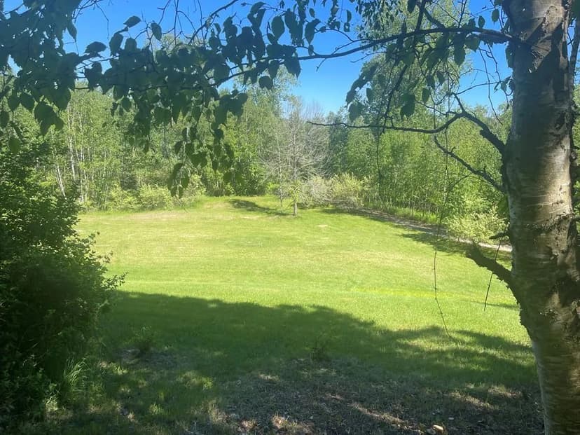Vacant Land (0-10 Acres) in Algoma