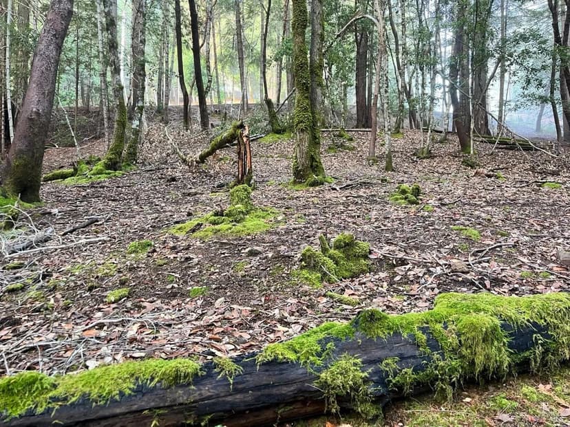 Lots & Land-Other in Willits