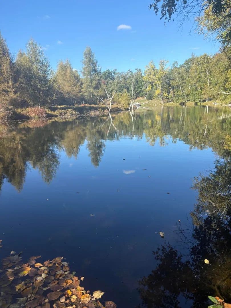 Lots & Land-Other in Canadian Lakes - Canadian Lakes, Michigan, 49346