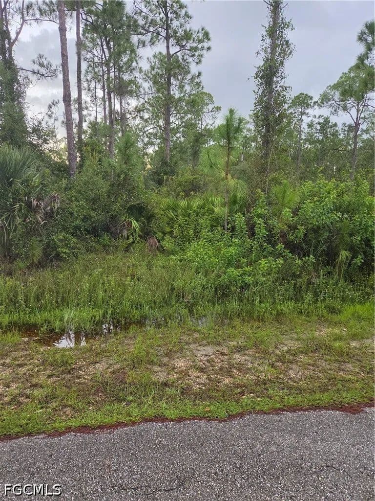 Vacant Land in Alva - Alva, Florida, 33920